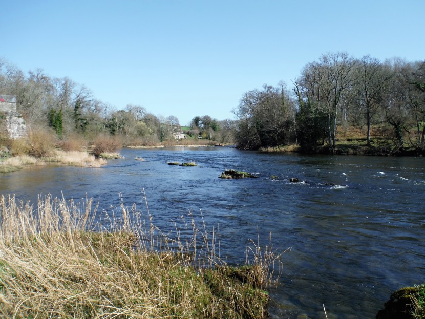 The upper Wye's Mill and Rectory Neck Pools in March